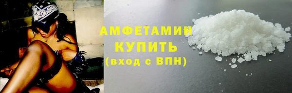 дмт Бородино